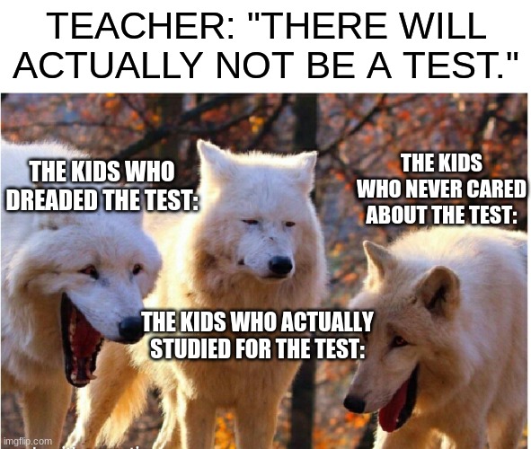 (insert title here) | TEACHER: "THERE WILL ACTUALLY NOT BE A TEST."; THE KIDS WHO NEVER CARED ABOUT THE TEST:; THE KIDS WHO DREADED THE TEST:; THE KIDS WHO ACTUALLY STUDIED FOR THE TEST: | image tagged in helpineedatitle,memes | made w/ Imgflip meme maker