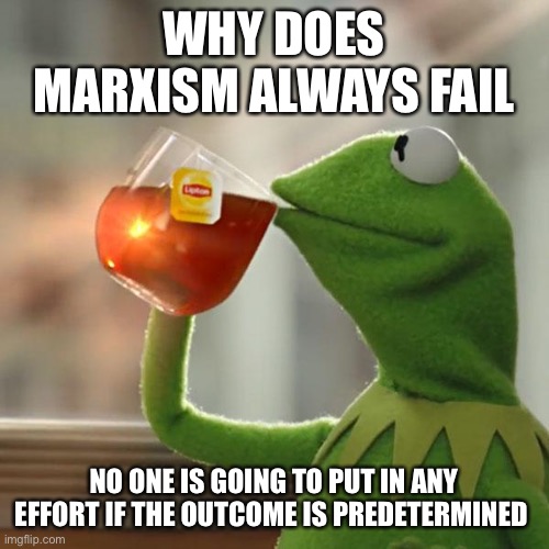 But That's None Of My Business | WHY DOES MARXISM ALWAYS FAIL; NO ONE IS GOING TO PUT IN ANY EFFORT IF THE OUTCOME IS PREDETERMINED | image tagged in memes,but that's none of my business,kermit the frog | made w/ Imgflip meme maker