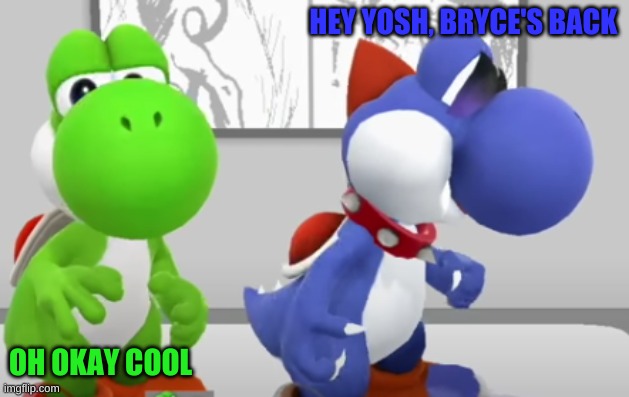 Yoshi & Boshi | HEY YOSH, BRYCE'S BACK OH OKAY COOL | image tagged in yoshi boshi | made w/ Imgflip meme maker