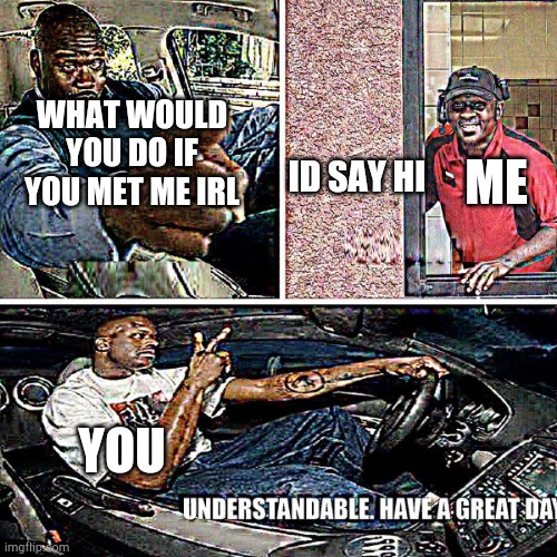 Understandable, have a great day | ID SAY HI ME YOU WHAT WOULD YOU DO IF YOU MET ME IRL | image tagged in understandable have a great day | made w/ Imgflip meme maker