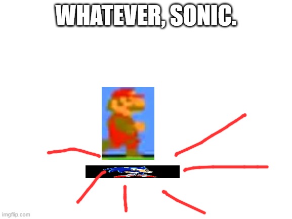 when sonic tries to kill you | WHATEVER, SONIC. | image tagged in blank white template,sonic the hedgehog,mario | made w/ Imgflip meme maker