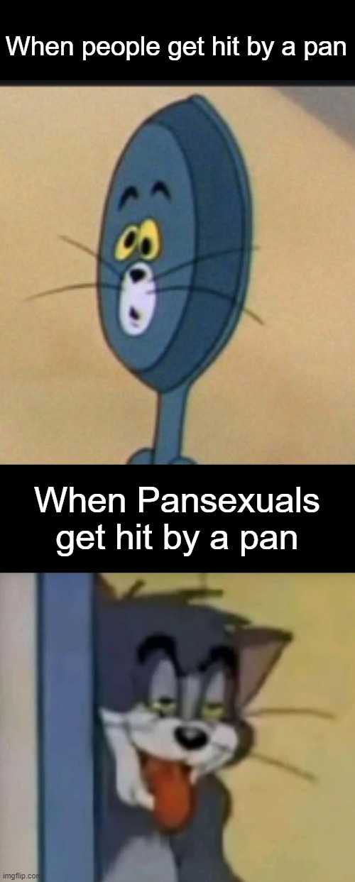 P A N | When people get hit by a pan; When Pansexuals get hit by a pan | image tagged in pans,custom template,memes,tom and jerry | made w/ Imgflip meme maker