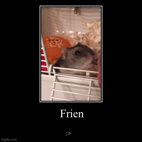 Frien | image tagged in funny,demotivationals | made w/ Imgflip demotivational maker