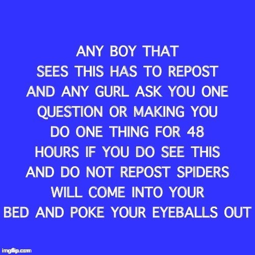 Now that I'm thinking about it I'd rather let the spiders do their thing but oh well | made w/ Imgflip meme maker