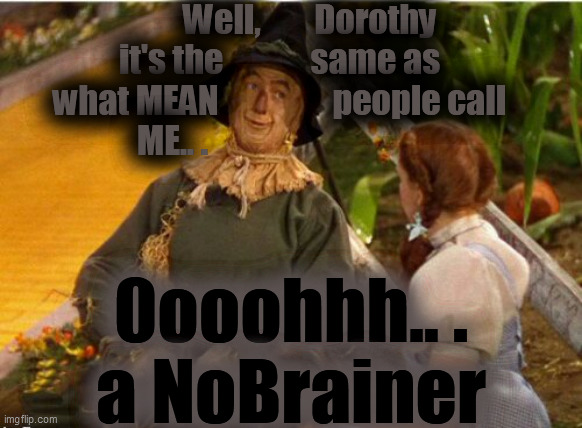 No brainer | Well,        Dorothy
it's the             same as
what MEAN                 people call
ME.. . 0ooohhh.. .
a NoBrainer | image tagged in no brainer | made w/ Imgflip meme maker