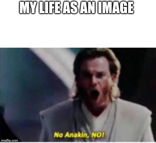 No Anakin no | MY LIFE AS AN IMAGE | image tagged in no anakin no | made w/ Imgflip meme maker