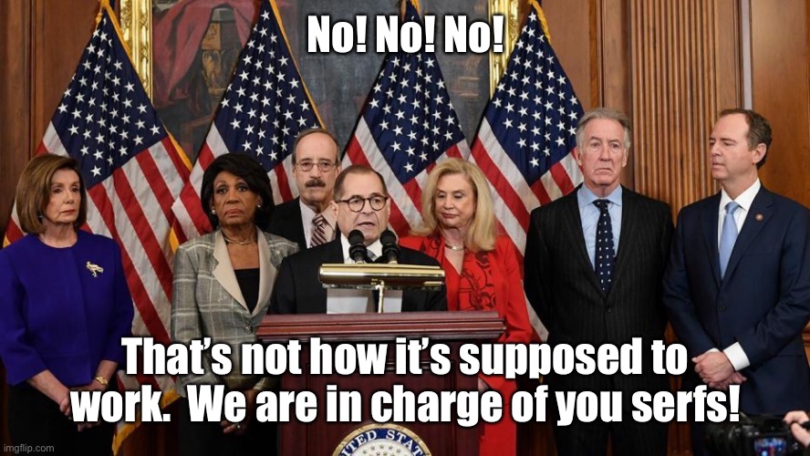 House Democrats | No! No! No! That’s not how it’s supposed to work.  We are in charge of you serfs! | image tagged in house democrats | made w/ Imgflip meme maker