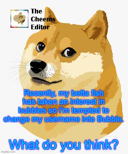 Recently, my betta fish has taken an interest in bubbles so I'm tempted to change my username into Bubble. What do you think? | image tagged in thecheemseditor announcement template | made w/ Imgflip meme maker