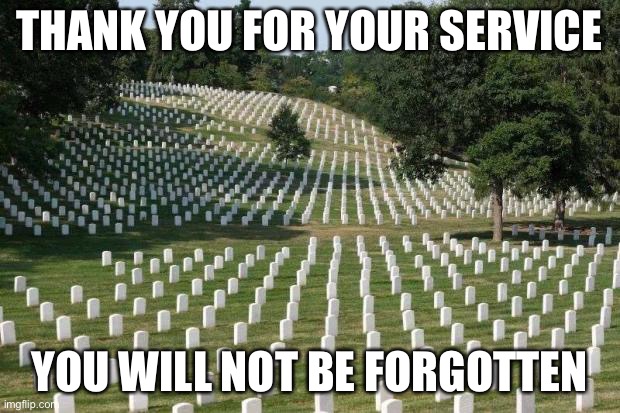 Never forget | THANK YOU FOR YOUR SERVICE; YOU WILL NOT BE FORGOTTEN | image tagged in fallen soldiers,never forget,respect,press f to pay respects | made w/ Imgflip meme maker