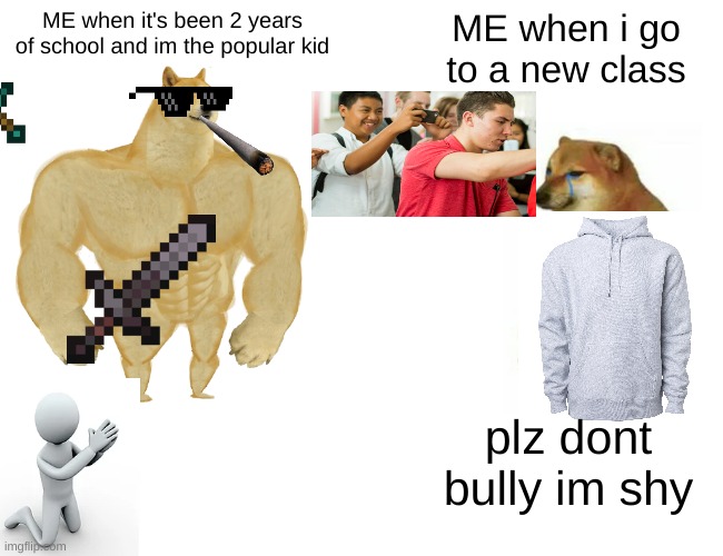 RELATABLE MEME | ME when it's been 2 years of school and im the popular kid; ME when i go to a new class; plz dont bully im shy | image tagged in memes,buff doge vs cheems | made w/ Imgflip meme maker