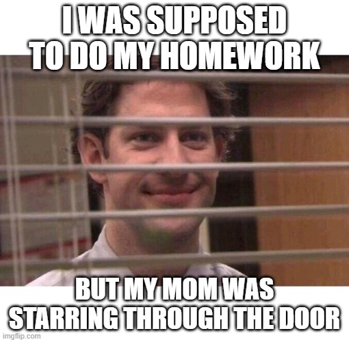 Jim Office Blinds | I WAS SUPPOSED TO DO MY HOMEWORK; BUT MY MOM WAS STARRING THROUGH THE DOOR | image tagged in jim office blinds | made w/ Imgflip meme maker