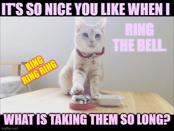 IT'S SO NICE YOU LIKE WHEN I WHAT IS TAKING THEM SO LONG? RING THE BELL. RING RING RING | made w/ Imgflip meme maker