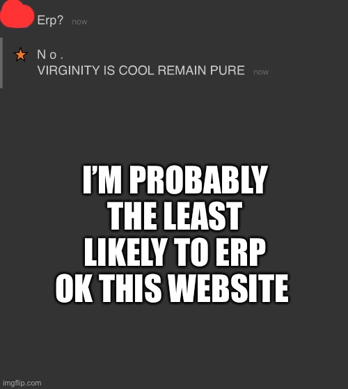 I’M PROBABLY THE LEAST LIKELY TO ERP OK THIS WEBSITE | made w/ Imgflip meme maker