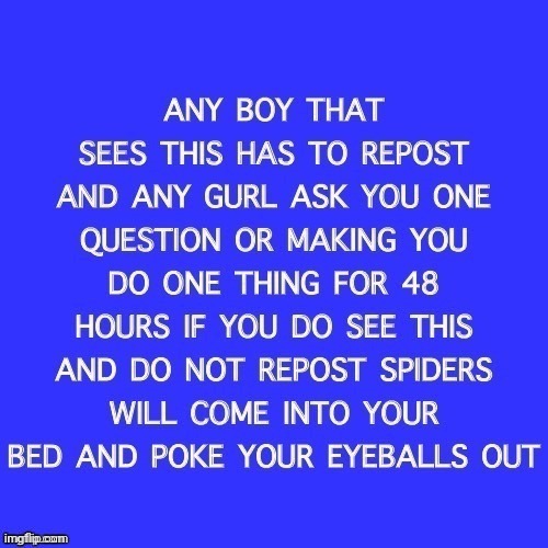 Pls don’t make me do anything homo | image tagged in not homophobia just straight | made w/ Imgflip meme maker