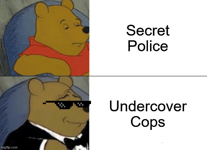 Remember Kids:  Murica is a police state. |  Secret Police; Undercover Cops | image tagged in memes,tuxedo winnie the pooh | made w/ Imgflip meme maker