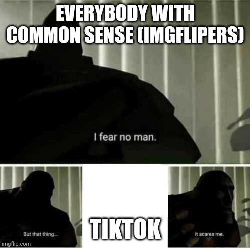 Sorry I couldn't put the tiktok logo in the meme. I did this on mobile but it's probably for the best. | EVERYBODY WITH COMMON SENSE (IMGFLIPERS); TIKTOK | image tagged in i fear no man | made w/ Imgflip meme maker