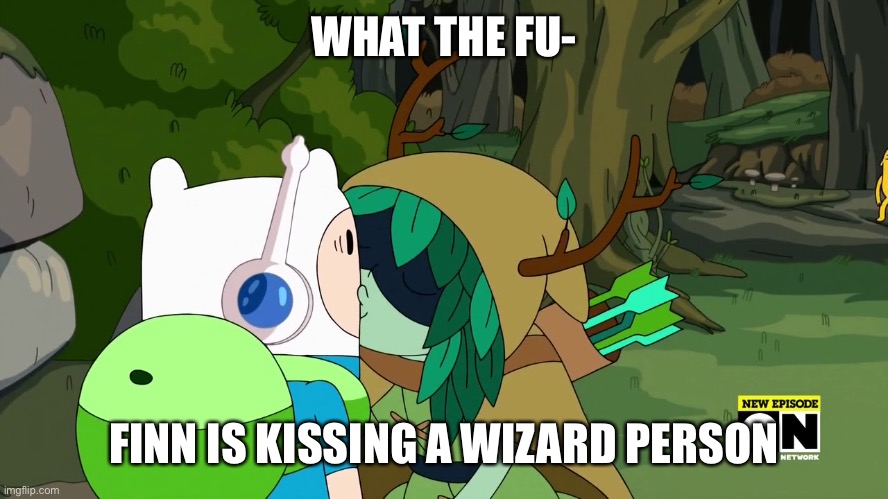 WHAT THE FU-; FINN IS KISSING A WIZARD PERSON | made w/ Imgflip meme maker