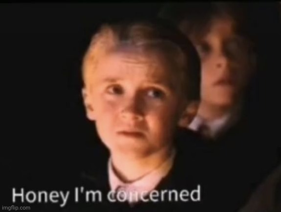 Honey I'm concerned | image tagged in honey i'm concerned | made w/ Imgflip meme maker