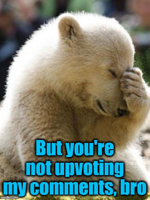 Facepalm Bear Meme | But you're not upvoting my comments, bro | image tagged in memes,facepalm bear | made w/ Imgflip meme maker