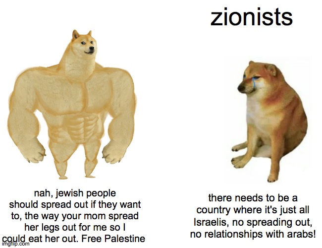 Buff Doge vs. Cheems | zionists; nah, jewish people should spread out if they want to, the way your mom spread her legs out for me so I could eat her out. Free Palestine; there needs to be a country where it's just all Israelis, no spreading out, no relationships with arabs! | image tagged in memes,buff doge vs cheems | made w/ Imgflip meme maker