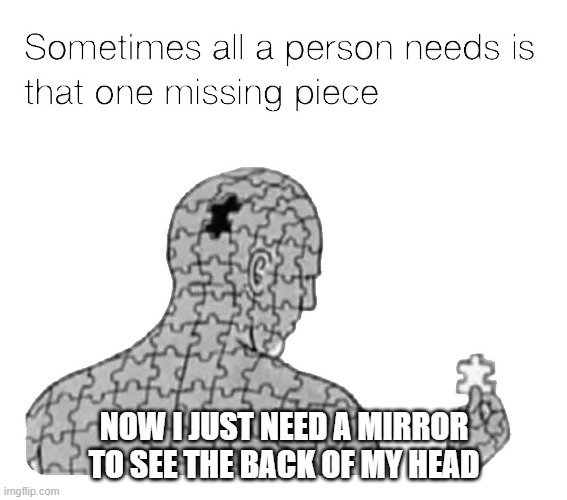I couldn't see how to proceed without one more thing | NOW I JUST NEED A MIRROR TO SEE THE BACK OF MY HEAD | image tagged in that one missing piece | made w/ Imgflip meme maker