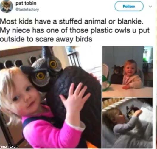 Well now she can't get attacked by birds :) | made w/ Imgflip meme maker