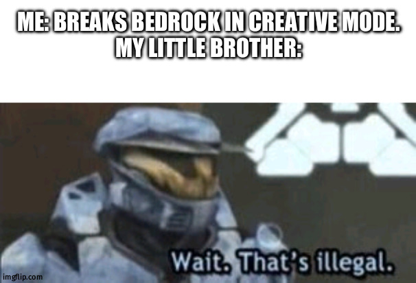 Really? | ME: BREAKS BEDROCK IN CREATIVE MODE.
MY LITTLE BROTHER: | image tagged in wait that's illegal,dumb people | made w/ Imgflip meme maker