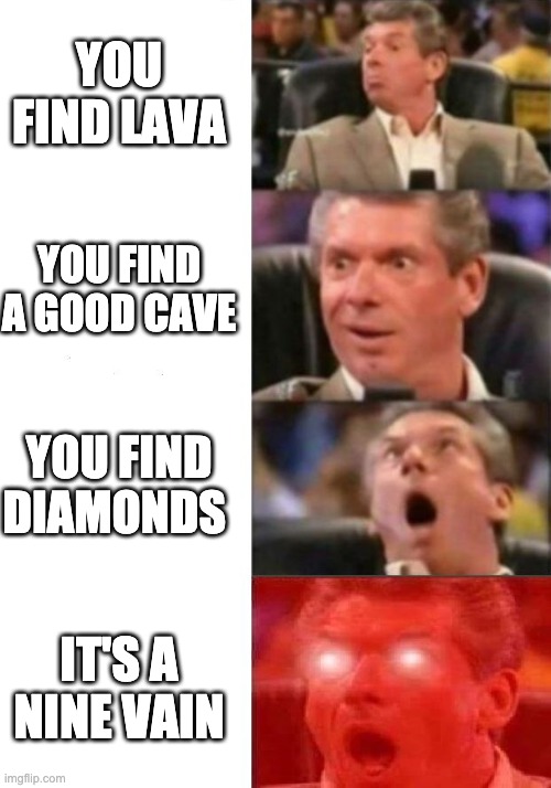 mmmm noice | YOU FIND LAVA; YOU FIND A GOOD CAVE; YOU FIND DIAMONDS; IT'S A NINE VAIN | image tagged in mr mcmahon reaction | made w/ Imgflip meme maker