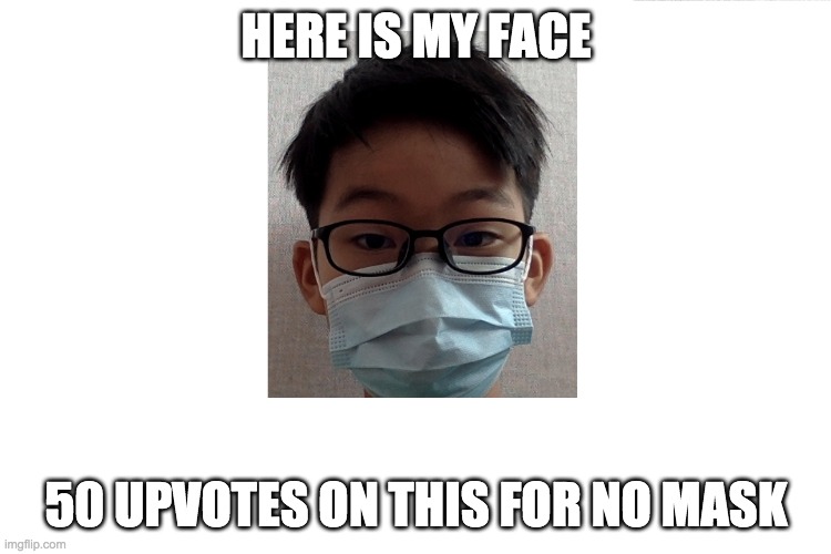 My face | HERE IS MY FACE; 50 UPVOTES ON THIS FOR NO MASK | image tagged in face reveal | made w/ Imgflip meme maker