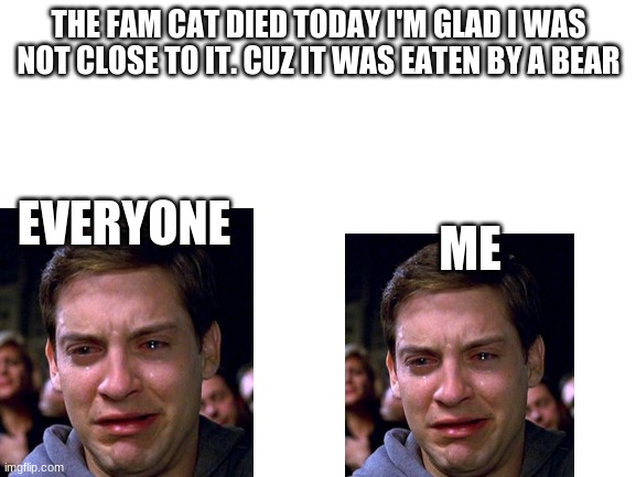 literally happened today | THE FAM CAT DIED TODAY I'M GLAD I WAS NOT CLOSE TO IT. CUZ IT WAS EATEN BY A BEAR; EVERYONE; ME | image tagged in blank white template | made w/ Imgflip meme maker