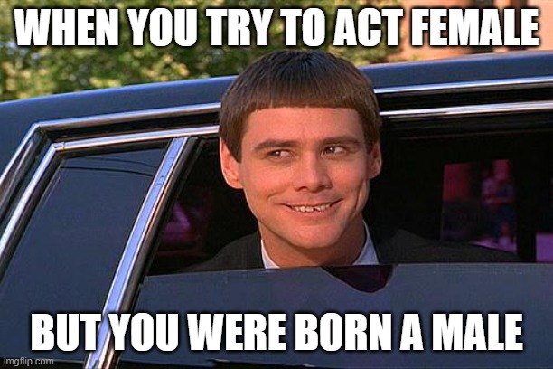 When you think you can fool people by saying you're a woman | WHEN YOU TRY TO ACT FEMALE; BUT YOU WERE BORN A MALE | image tagged in cool and stupid,male,female,men,women,gender | made w/ Imgflip meme maker
