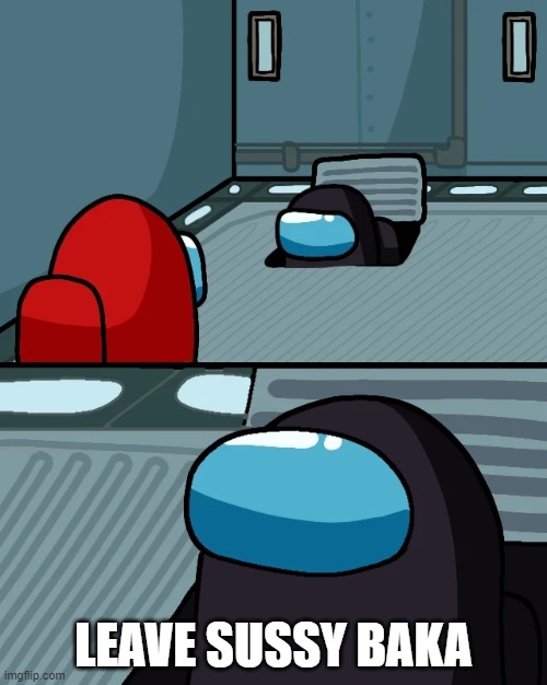 impostor of the vent | LEAVE SUSSY BAKA | image tagged in impostor of the vent | made w/ Imgflip meme maker