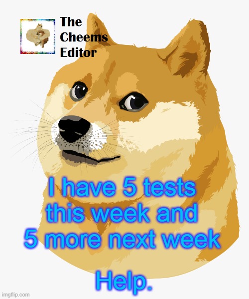 I have 5 tests this week and 5 more next week; Help. | image tagged in thecheemseditor announcement template | made w/ Imgflip meme maker