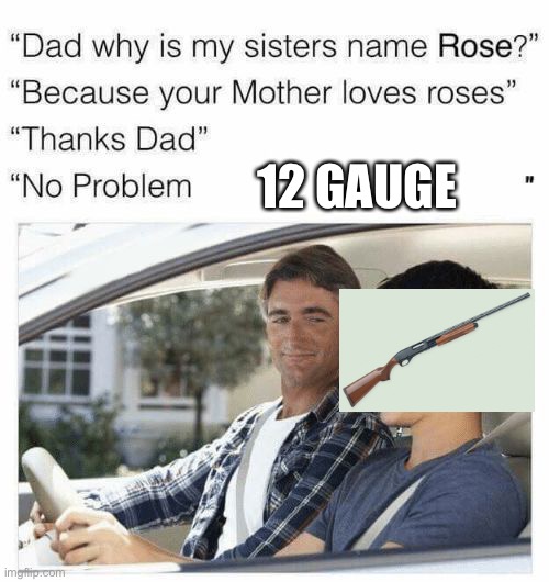 *BANG* | 12 GAUGE | image tagged in why is my sister's name rose | made w/ Imgflip meme maker