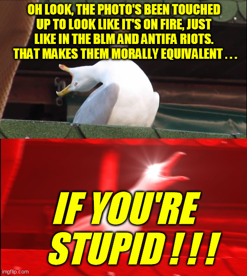 Deep Breath Seagull | OH LOOK, THE PHOTO'S BEEN TOUCHED UP TO LOOK LIKE IT'S ON FIRE, JUST LIKE IN THE BLM AND ANTIFA RIOTS.  THAT MAKES THEM MORALLY EQUIVALENT . | image tagged in deep breath seagull | made w/ Imgflip meme maker