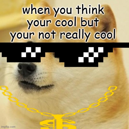 Doge Meme | when you think your cool but your not really cool | image tagged in memes,doge | made w/ Imgflip meme maker