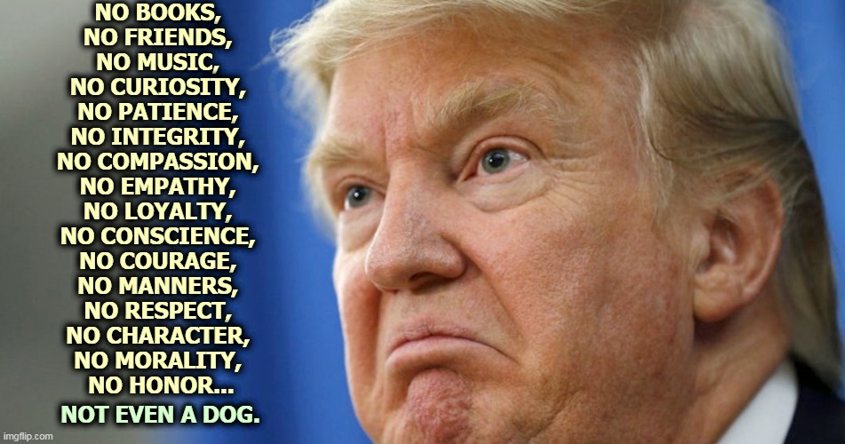 And those are his good points. | NO BOOKS, 
NO FRIENDS, 
NO MUSIC, 
NO CURIOSITY, 
NO PATIENCE, 
NO INTEGRITY, 
NO COMPASSION, 
NO EMPATHY, 
NO LOYALTY, 
NO CONSCIENCE, 
NO COURAGE, 
NO MANNERS, 
NO RESPECT, 
NO CHARACTER, 
NO MORALITY, 
NO HONOR... NOT EVEN A DOG. | image tagged in trump,bad,character,personality | made w/ Imgflip meme maker