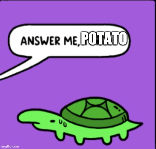 Answer me turtle | POTATO | image tagged in answer me turtle | made w/ Imgflip meme maker