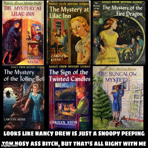 image tagged in nancy drew,books,mysteries,peeping tom,eavesdropping,nosy | made w/ Imgflip meme maker