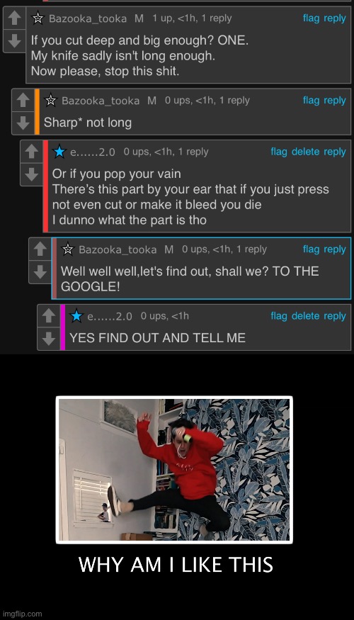Idk | image tagged in why am i like this | made w/ Imgflip meme maker