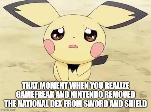 Sad pichu | THAT MOMENT WHEN YOU REALIZE GAMEFREAK AND NINTENDO REMOVED THE NATIONAL DEX FROM SWORD AND SHIELD | image tagged in sad pichu | made w/ Imgflip meme maker