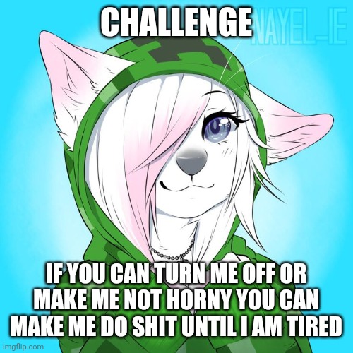 UwU | CHALLENGE; IF YOU CAN TURN ME OFF OR MAKE ME NOT HORNY YOU CAN MAKE ME DO SHIT UNTIL I AM TIRED | image tagged in creeper uwu | made w/ Imgflip meme maker