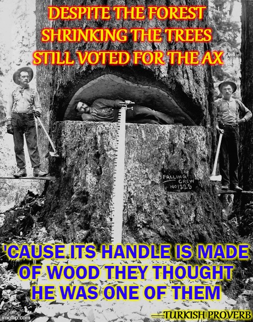 Sometimes, the Forest Can't See the Forest for the Trees | DESPITE THE FOREST 
SHRINKING THE TREES 
STILL VOTED FOR THE AX; 'CAUSE ITS HANDLE IS MADE
OF WOOD THEY THOUGHT
HE WAS ONE OF THEM; —TURKISH PROVERB | image tagged in vince vance,wood,axe,memes,turkish,proverb | made w/ Imgflip meme maker
