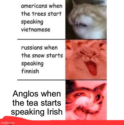 If you wonder what that red line is, the template creator got it with an ifunny.co watermark. |  Anglos when the tea starts speaking Irish | image tagged in americans when,england,ireland,tea,memes,bri ish | made w/ Imgflip meme maker