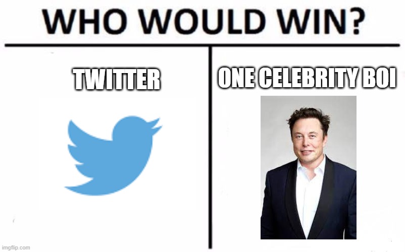 10 year old tweets | ONE CELEBRITY BOI; TWITTER | image tagged in memes,who would win,elon musk,twitter,cancel culture,10 year old tweets | made w/ Imgflip meme maker
