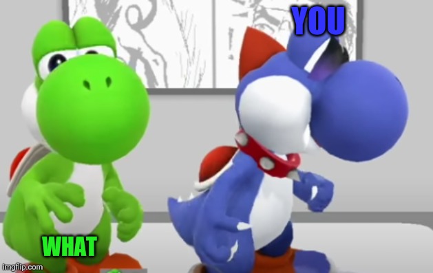 Yoshi & Boshi | YOU WHAT | image tagged in yoshi boshi | made w/ Imgflip meme maker