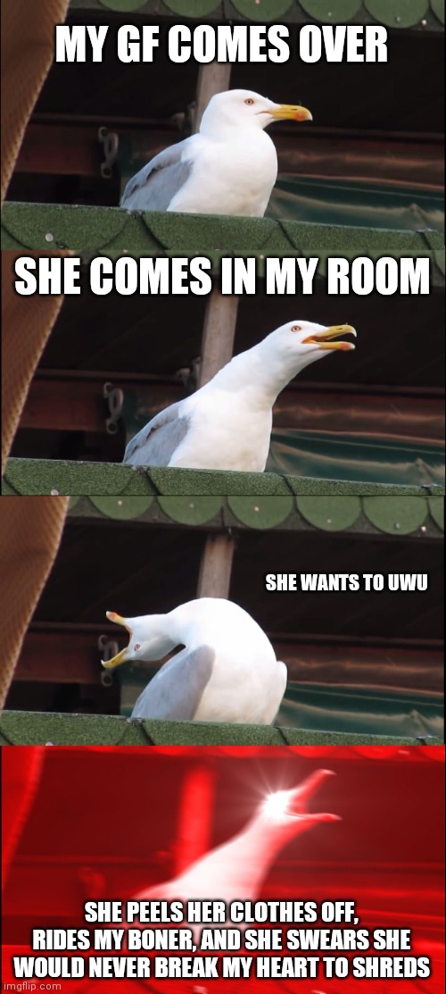 I have never felt so happy, like i feel so good that i feel like i rule the world | MY GF COMES OVER; SHE COMES IN MY ROOM; SHE WANTS TO UWU; SHE PEELS HER CLOTHES OFF, RIDES MY BONER, AND SHE SWEARS SHE WOULD NEVER BREAK MY HEART TO SHREDS | image tagged in memes,inhaling seagull | made w/ Imgflip meme maker