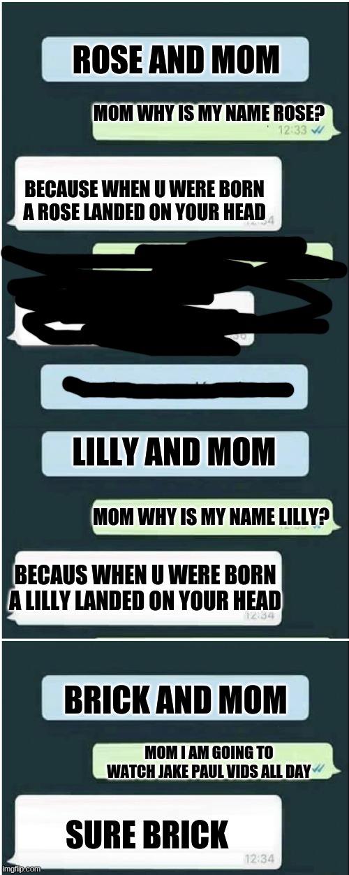 Why these names | ROSE AND MOM; MOM WHY IS MY NAME ROSE? BECAUSE WHEN U WERE BORN A ROSE LANDED ON YOUR HEAD; LILLY AND MOM; MOM WHY IS MY NAME LILLY? BECAUS WHEN U WERE BORN A LILLY LANDED ON YOUR HEAD; BRICK AND MOM; MOM I AM GOING TO WATCH JAKE PAUL VIDS ALL DAY; SURE BRICK | image tagged in whatsapp | made w/ Imgflip meme maker
