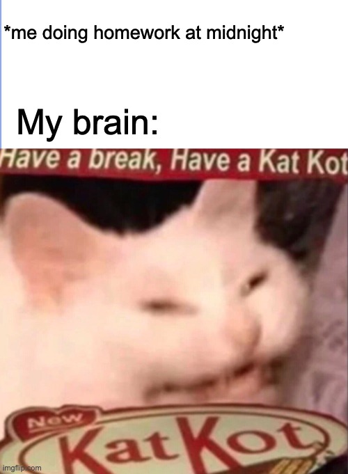 Have a break, have a kat kot | *me doing homework at midnight*; My brain: | image tagged in lolz,too funny,cats,angery | made w/ Imgflip meme maker
