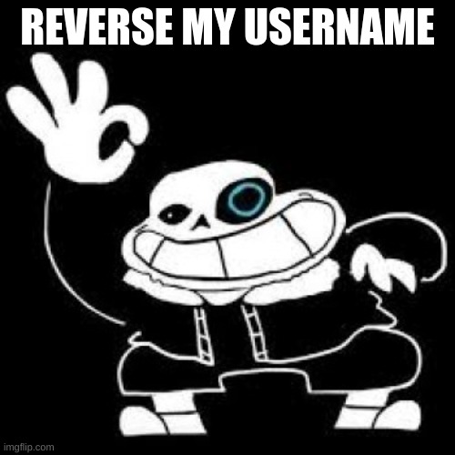 do it | REVERSE MY USERNAME | image tagged in sans is ok | made w/ Imgflip meme maker